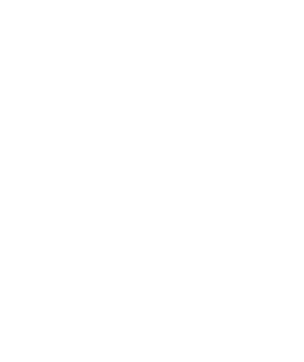 developer-icon